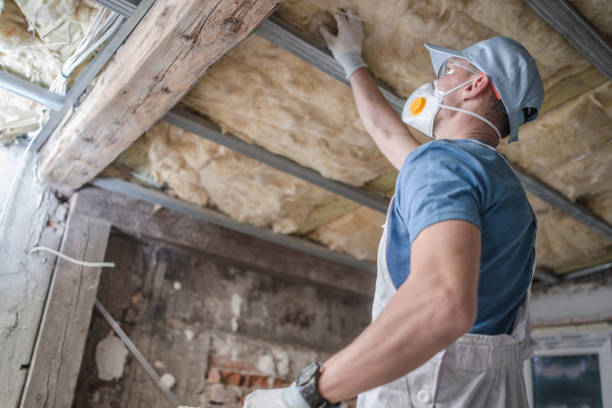 Best Best Insulation Companies  in Cottonwood, AL