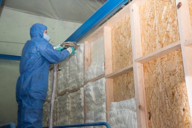 Best Garage Insulation Installation  in Cottonwood, AL