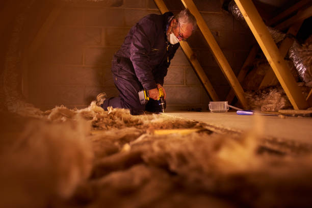 Insulation Replacement Services in Cottonwood, AL