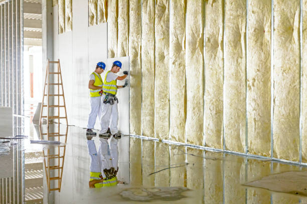 Best Local Insulation Services  in Cottonwood, AL